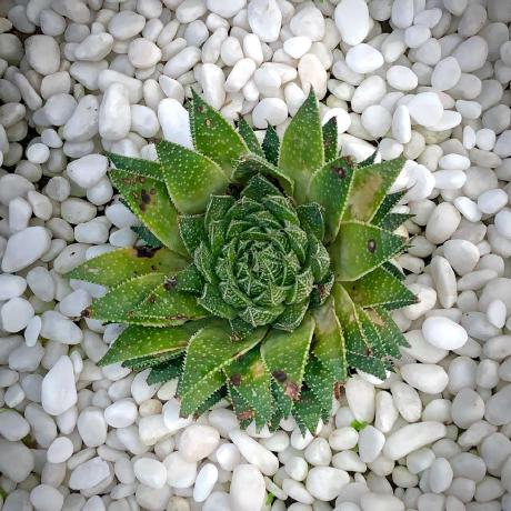 Vuong Breakfield Github - Premium Landscape Pattern Gallery - Retina