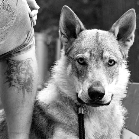 Dredapro Jaroslav Rudenko Github - Mobile Light Pictures for Desktop