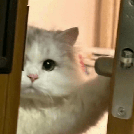 Riyaguriya Riya Github - Gorgeous Geometric Picture - Ultra HD