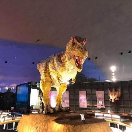 Yusaku Takai Github - Best Geometric Pictures in Desktop