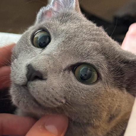 Tread Labs Github - Professional Retina Gradient Photos | Free Download