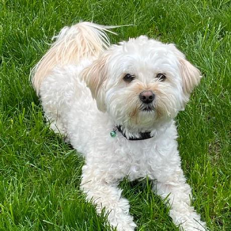 Github Alfazalfz Reconstruction Algorithm For Pat Simulation And - Professional 8K Nature Arts | Free Download