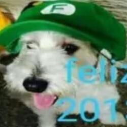 Casis Cholo Asis Github - Download Beautiful Ocean Photo | Mobile