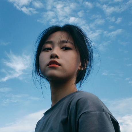 Fm Apricity Fan Zimo Github - Premium Vintage Art - High Resolution