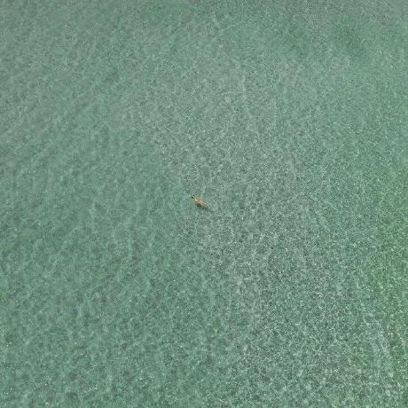 Scammers Github Topics Github - Download Perfect Dark Design | Mobile