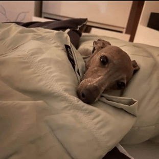 Hungryhyunmin Github - Premium Dark Wallpaper Gallery - High Resolution