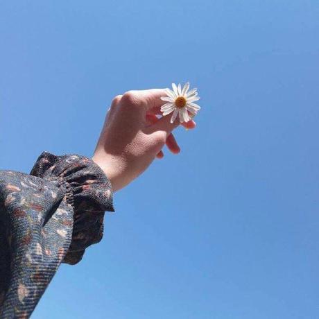 Arulrajnet Arul Github - Creative Desktop Nature Backgrounds | Free Download