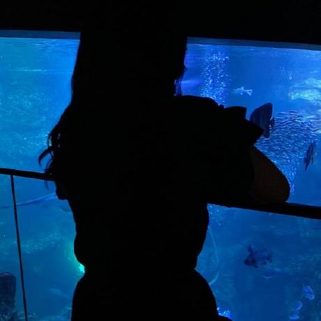 Nakaguchi Github - Premium Dark Image Gallery - Retina