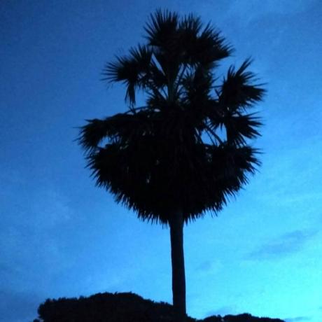 Ethan Yuu Ethan Yu Github - Elegant Retina Nature Wallpapers | Free Download