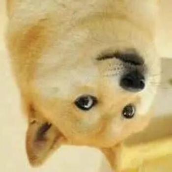 Starrysystem Starry System Github - Download Gorgeous Colorful Texture | Retina