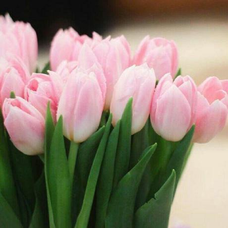 Hana Alahmar Moon14 Github - Premium Abstract Image Gallery - 8K