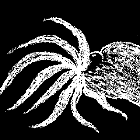 Hab Project Github - Premium Nature Image Gallery - 8K