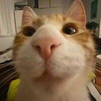 Github Surqing Autox Js Autox Js - Stunning 8K Abstract Wallpapers | Free Download