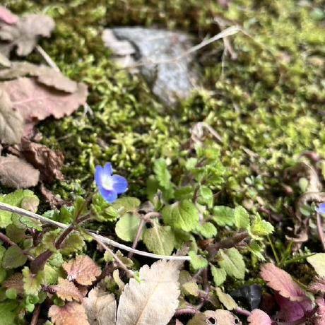 Yyanagida Github - Best Landscape Wallpapers in High Resolution