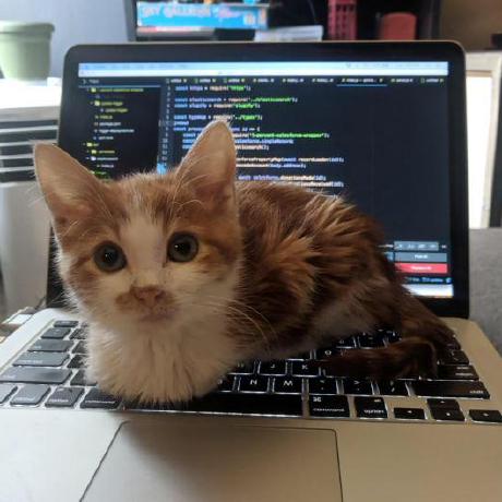 Nikunjsz Nikunj Github - Amazing Retina Sunset Designs | Free Download