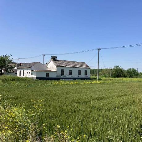 Mongameli Shasha 01 Github - Gradient Background Collection - 8K Quality