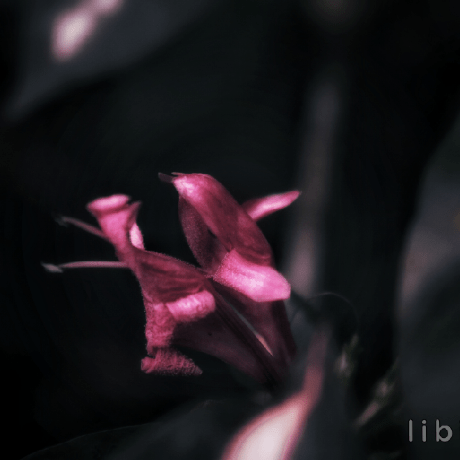 Libin Samkutty Libin Samkutty Github - Download Professional Ocean Pattern | HD