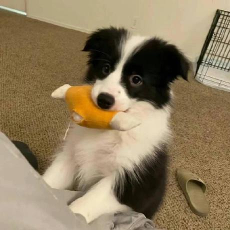 Github Nhicas A1 - Ultra HD Mountain Backgrounds for Desktop