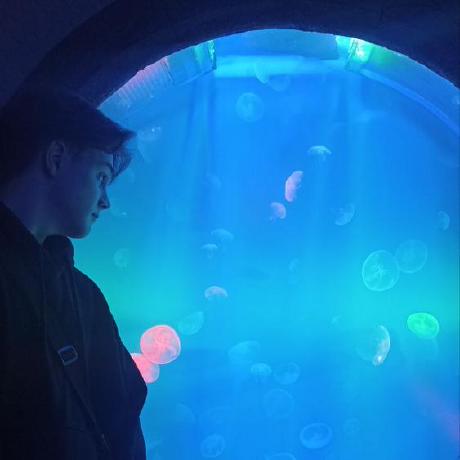 Github Lanscarlos Cerberus Powered By Taboolib 6 - Best Gradient Designs in Mobile