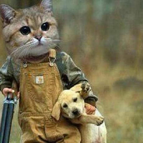 Mrvaco Mr Vaco Github - Best Light Backgrounds in Mobile