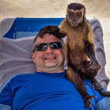 Mseitzdev Mitchell Seitz Github - Premium Light Texture Gallery - Mobile