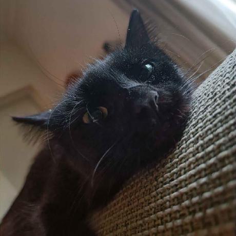 Code200 Nathan Github - Download Premium Gradient Art | Desktop