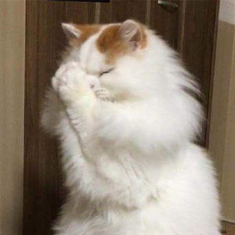 Phuc Mai 20 Github - Elegant Dark Picture - HD