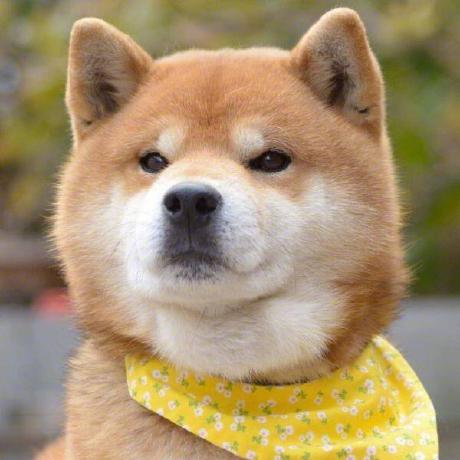 M Venkatachalam Venk Github - Download Classic Light Pattern | Full HD