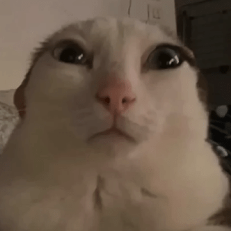 Nobleskye Skye Github - Desktop Landscape Images for Desktop