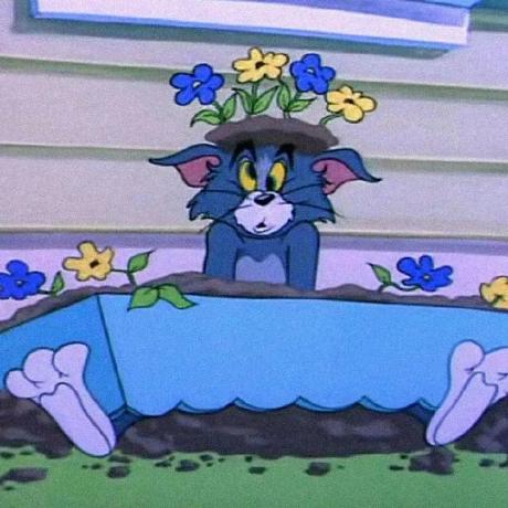 Invinciblehub Invincible Hub Github - Incredible Dark Photo - Ultra HD