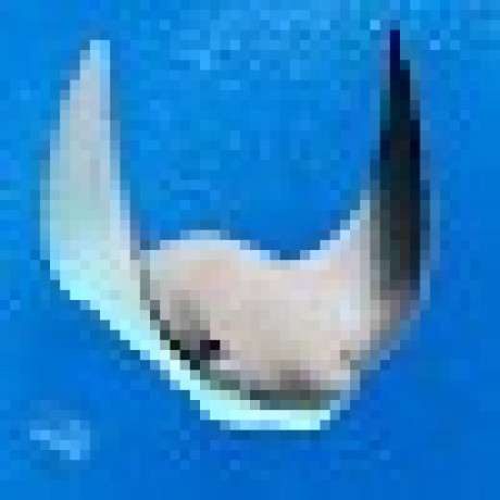 Tnoalex Nicholas Alex Github - Download Stunning Geometric Design | HD