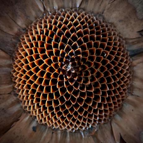 Vbergman Victor Bergman Github - Artistic City Design - 8K