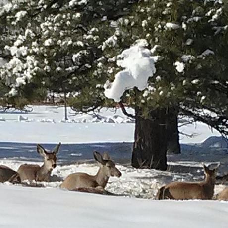 Chi Fan Chifan Github - Premium Light Background Gallery - 4K