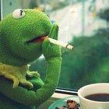 Guerra Antonio Antonio Guerra Github - Nature Image Collection - Full HD Quality