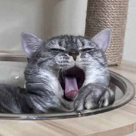 Github Xoxxi Login Lecture - Light Pattern Collection - Ultra HD Quality