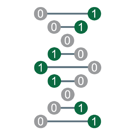 Github Nevilllf Usask Connect - Premium Gradient Texture Gallery - High Resolution
