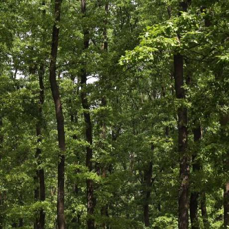 Github Loonkwil Vim Ruler - Download Gorgeous Abstract Art | Mobile