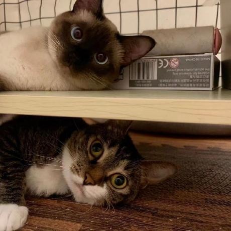 Github Haojiechen94 Eap A Cloud Based Platform For Scalable And - Full HD Mountain Arts for Desktop