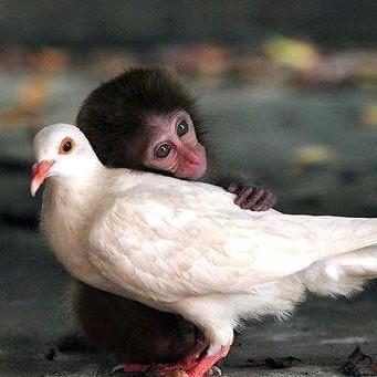 Kamiya1337 Kamiya Github - Download Beautiful Sunset Art | 8K