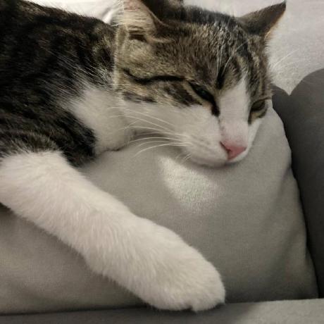 Github Unordinary98 Anton Kalinin Kalinin - 8K Dark Pictures for Desktop