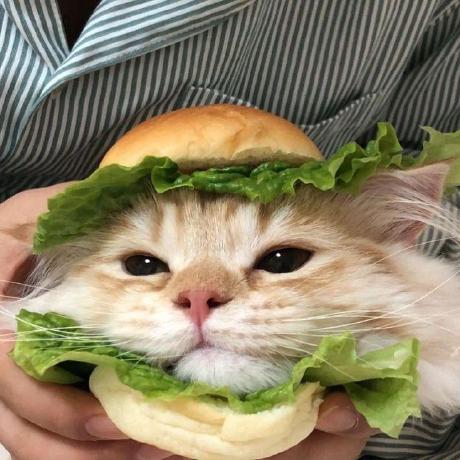 R Rausch Ren Rausch Github - Download Beautiful Landscape Photo | Ultra HD