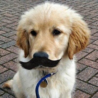 Ozyjay Jason Holdsworth Github - Best Space Photos in Ultra HD