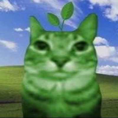 Cjblink1 Connor Boyle Github - Sunset Images - Perfect HD Collection