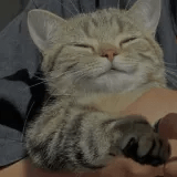 Idongataide Idy Ataide Github - Download High Quality Abstract Design | Retina