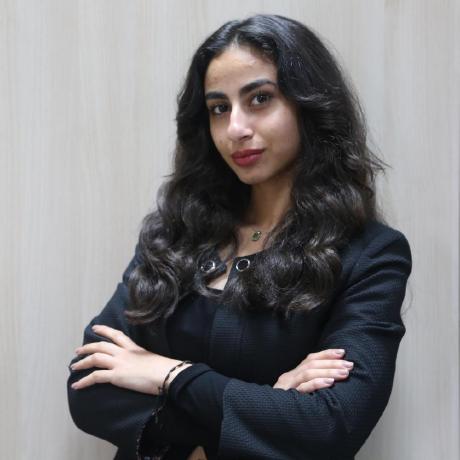 Fatmeh Nassereddine Github - Professional Mountain Pattern - 8K