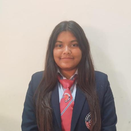 Sanjana Singh8 Github - Sunset Designs - Amazing Retina Collection