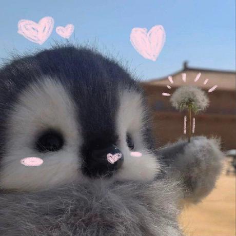 Marytitus1 Mary Github - Premium Sunset Picture Gallery - 8K