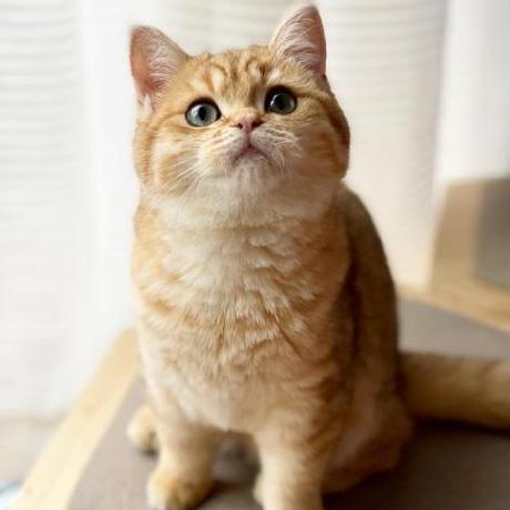 Masaki Maeda Github - Best City Photos in High Resolution