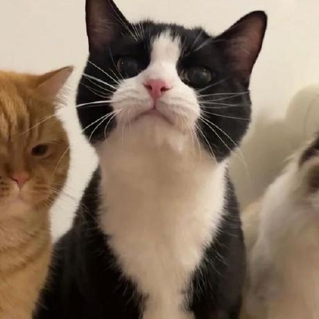 Xiybhkyb Yang Biao Github - Mountain Texture Collection - Mobile Quality