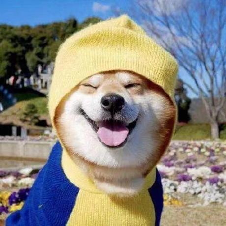 Github Li U Zy Li U Zy Github Io - Best Light Images in Retina